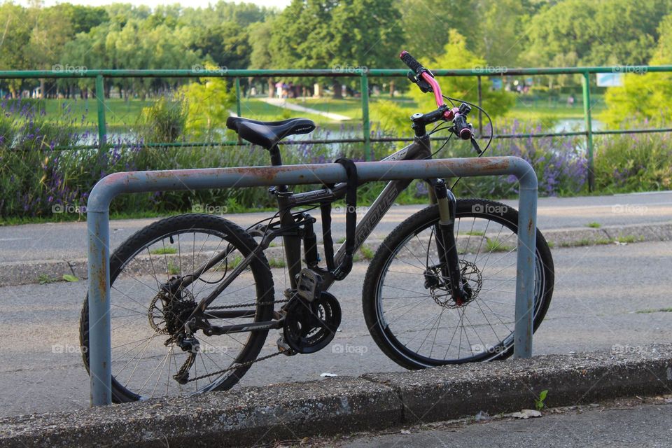 One lonely bicycle locked to a metal fence. Greenery and beautiful lake in the background