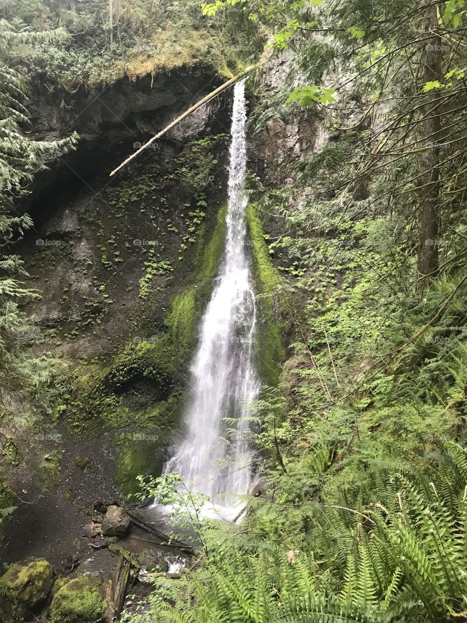 The beautiful Marymere Falls in Olympic National Park, Washington 