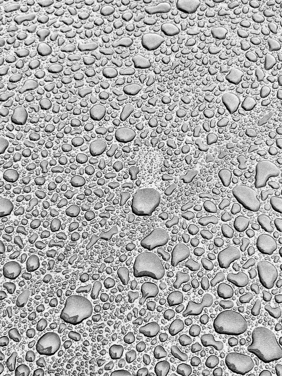 Water drops on a car in gray tones