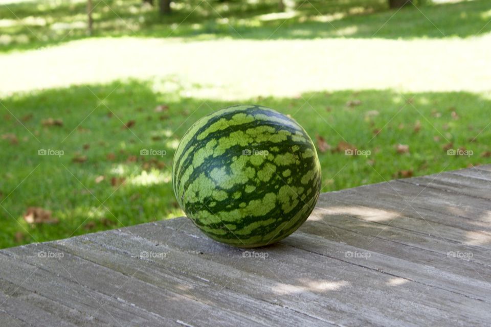 Watermelon on wooden surface against green grass on a sunny day