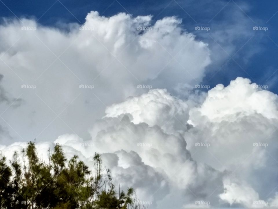 Wispy, fluffy clouds introducing ominous thunderstorm