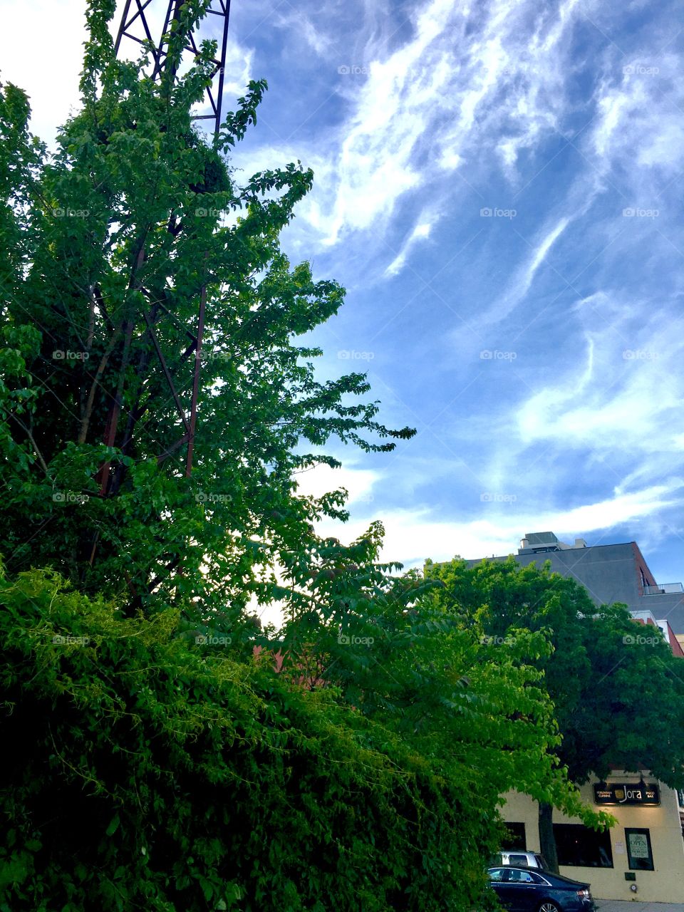 Another cloud pattern forming in the skies over Long Island City in Queens, New York photographed in the Spring of 2019. Hypnotic Productions