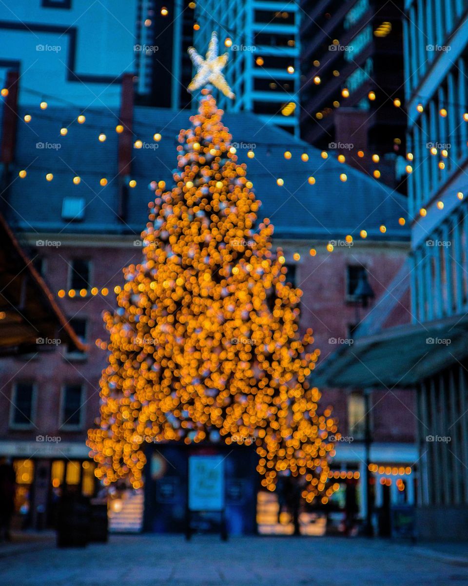 Illuminated view christmas tree at manhattan