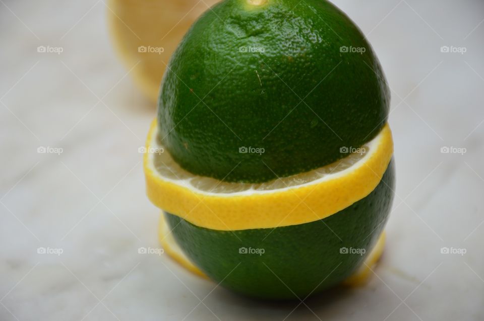 The citrus fruit lime. The citrus fruits lime