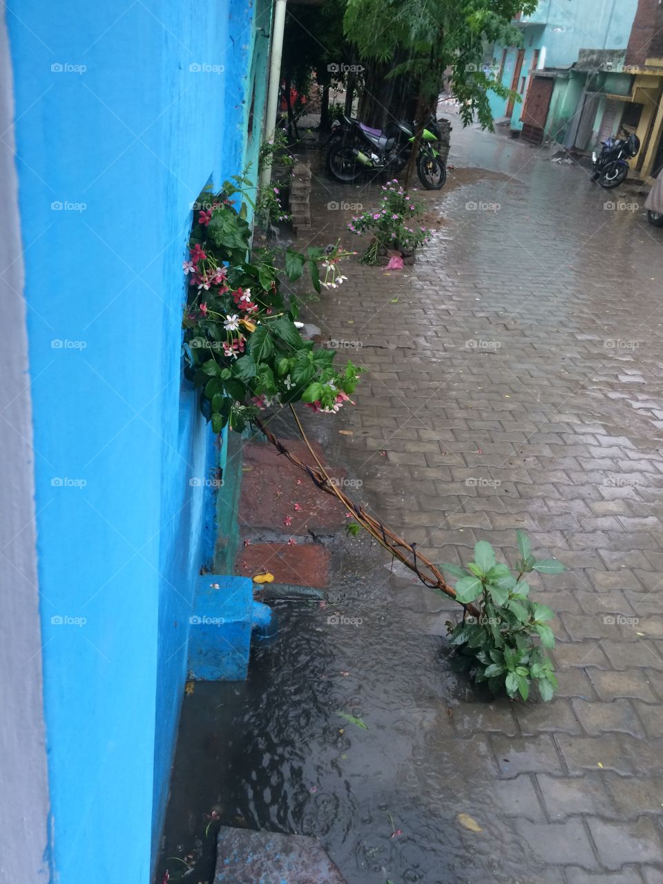 Rain india