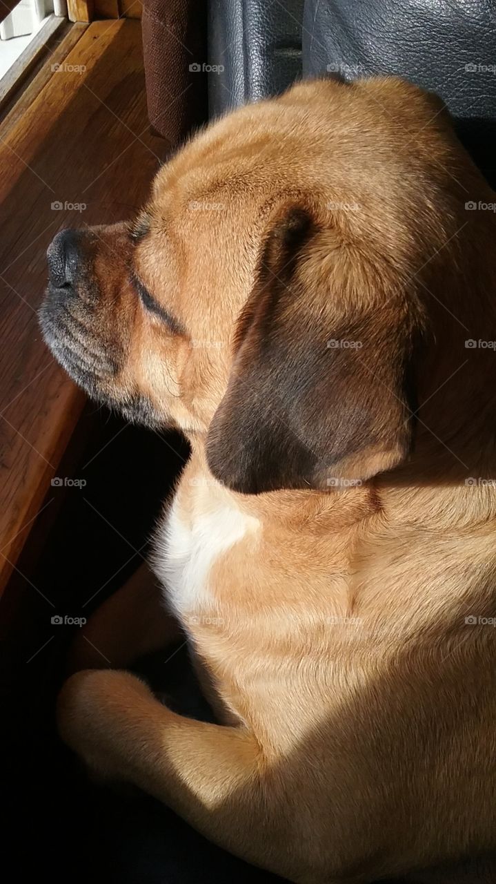 looking out the window