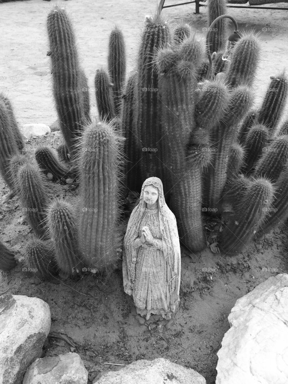 Mary in the desert 