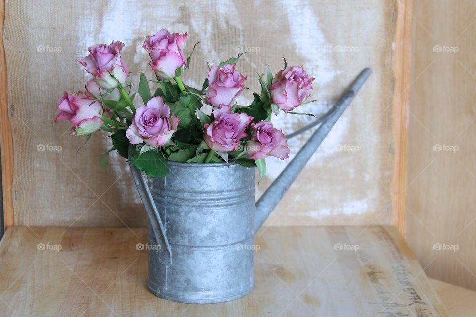 pink roses with water jug ​​zinc