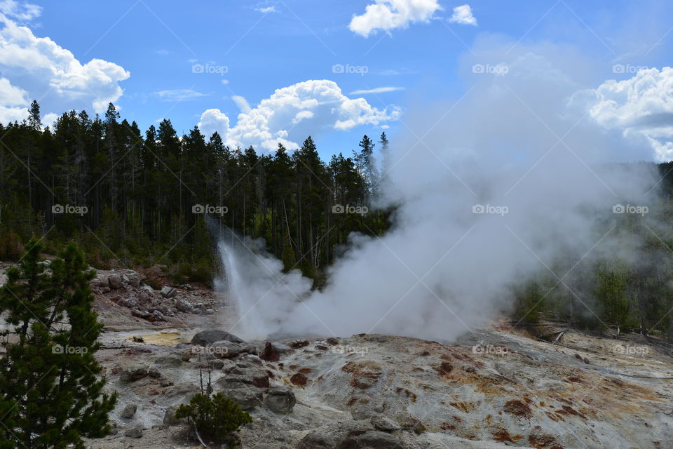 geyser