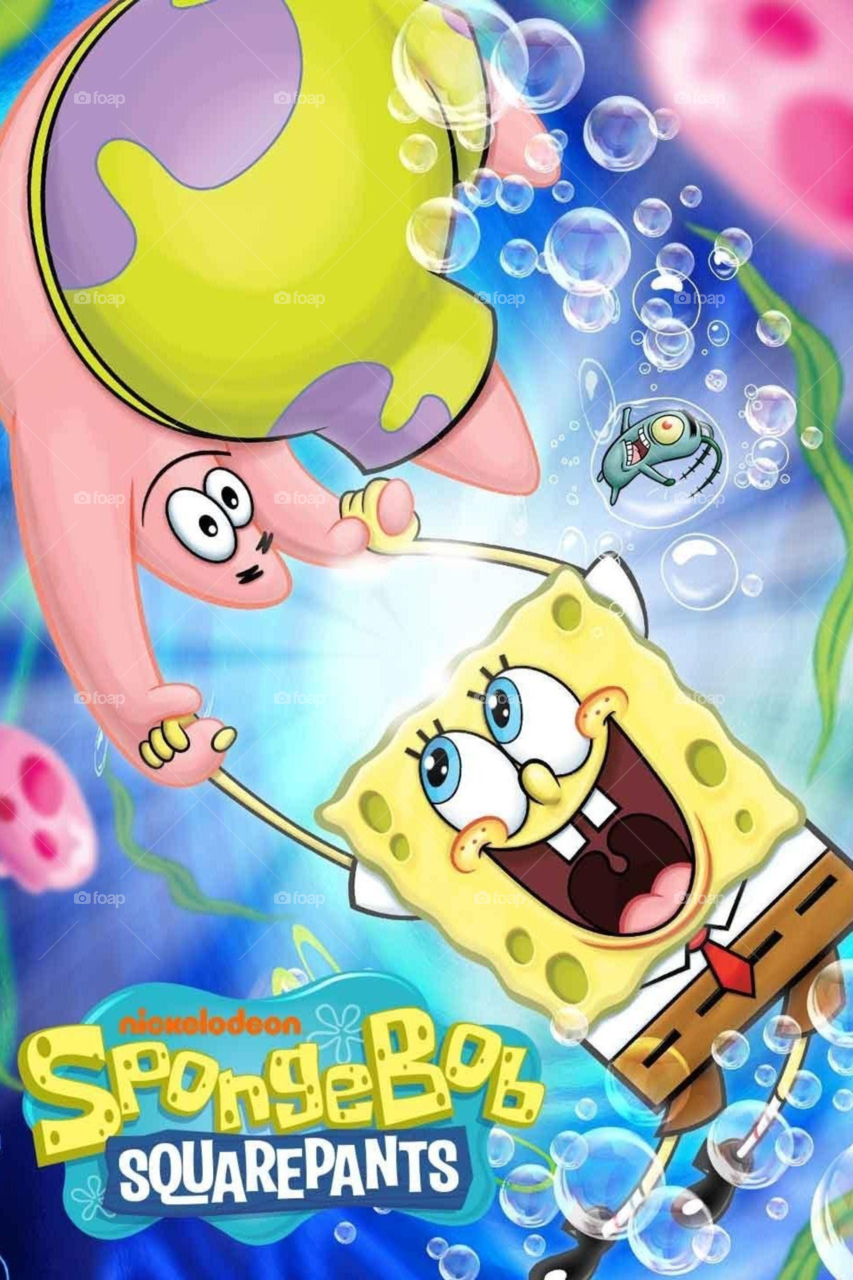 Sponge 
