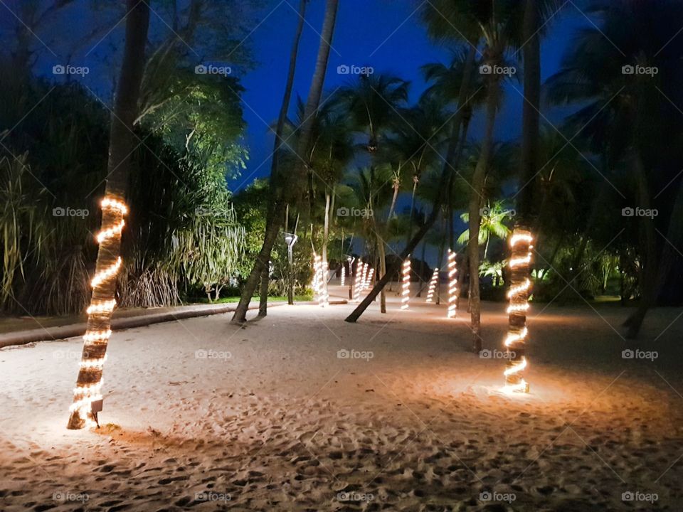Night Beach Light