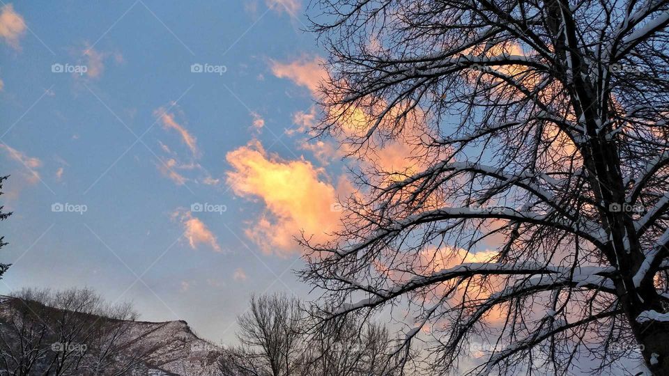 Winter sky at sunset in the snow.