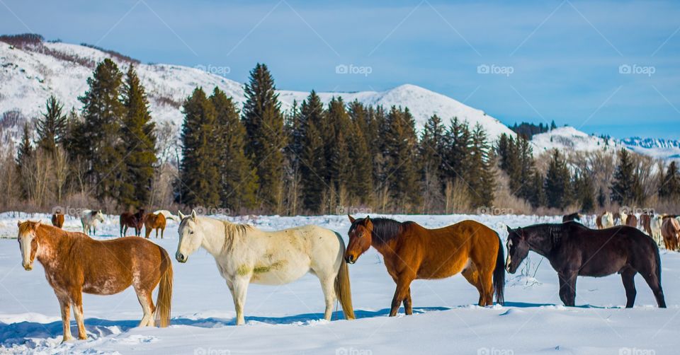 They just knew I wanted a picture of them