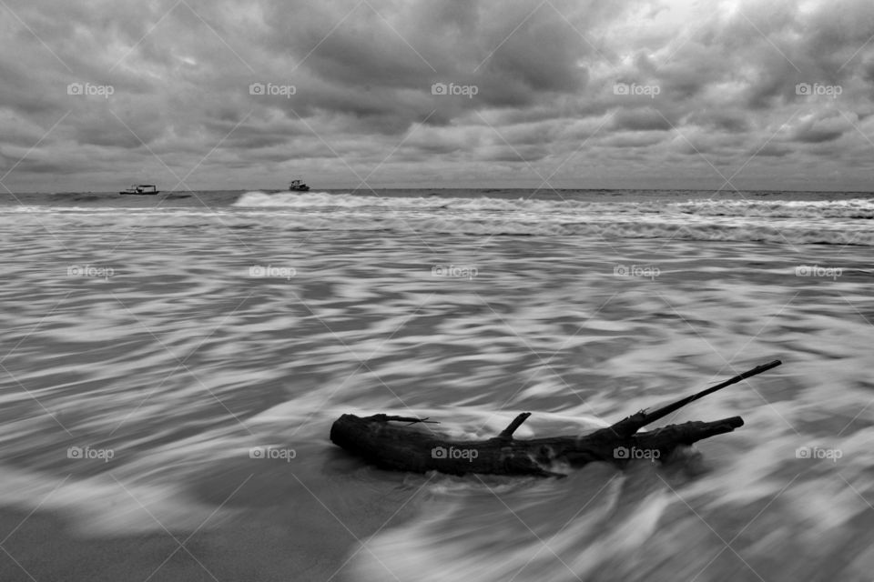 Motion of waves. Dissolved tree trunks on the coast of Batakan, South Kalimantan, Indonesia.