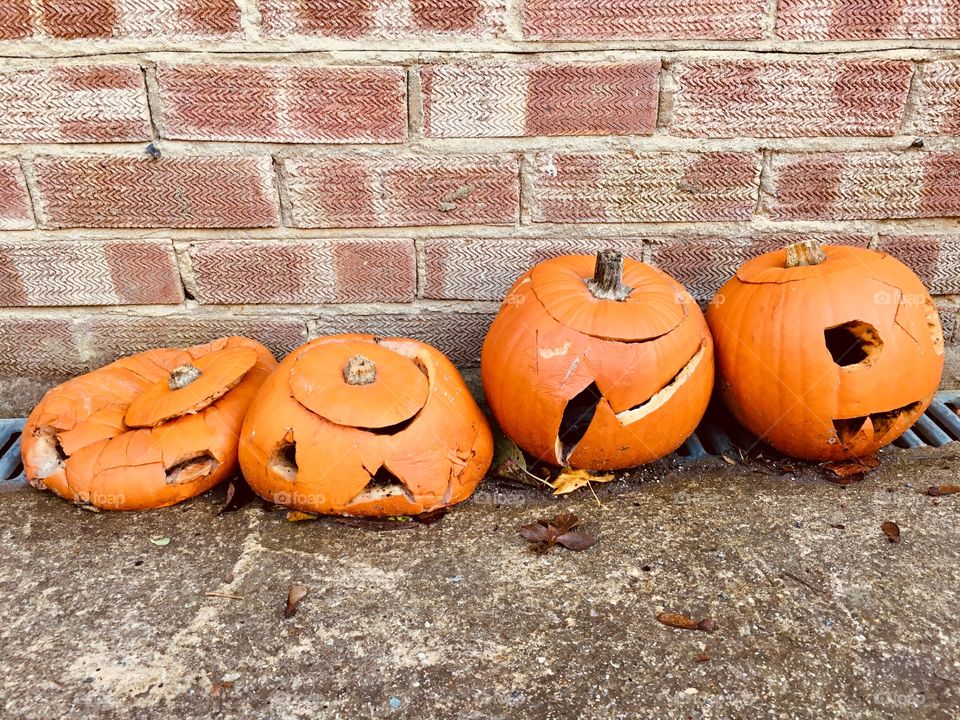 Four rotting pumpkins