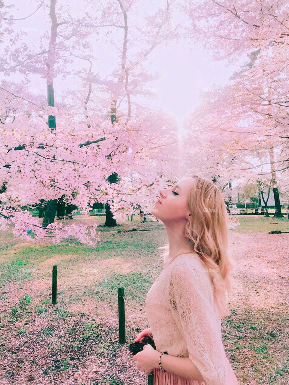 Cherry blossom girl 