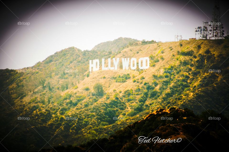 Hollywood