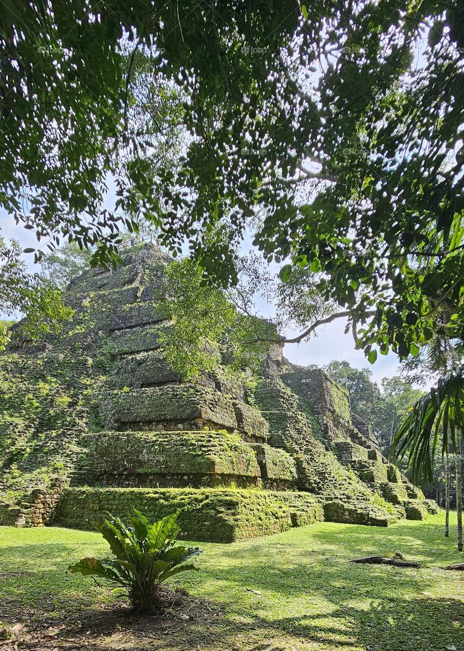 pyramide precolombienne à Tikal