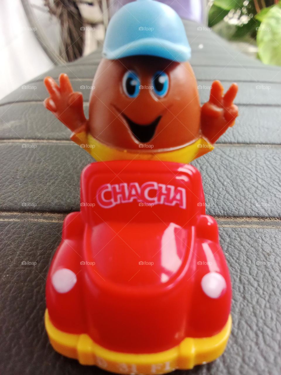 Chacha got in the car