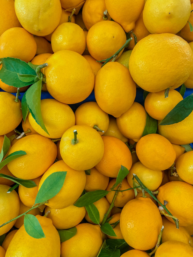 bright yellow lemons