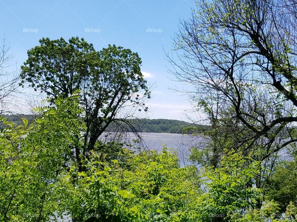 Potomac River view