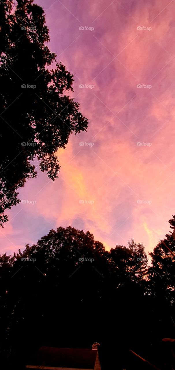 Sunset sky with shades of beautiful color throughout the clouds. Tree tops are in silhouette.