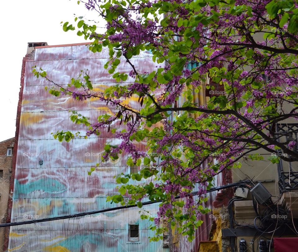 Looking up. Looking up