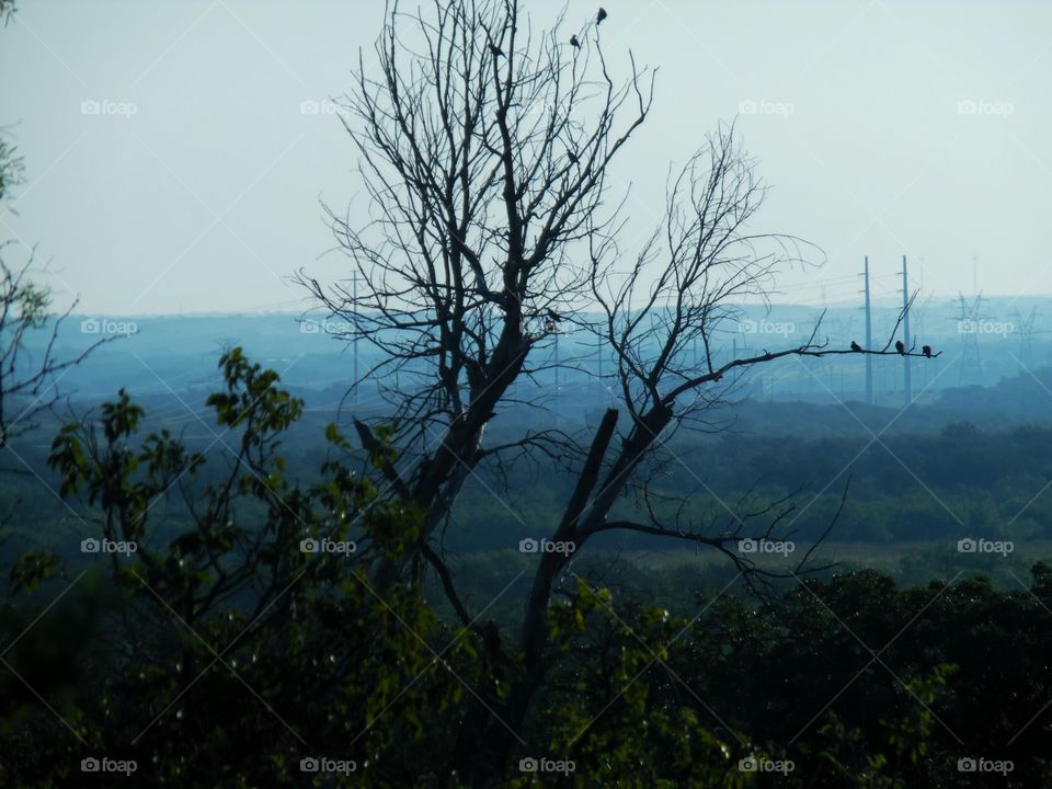 hill top view. This is a picture that I took while standing on top of this Hill. 👣 🚶 🏃 🔥 💨