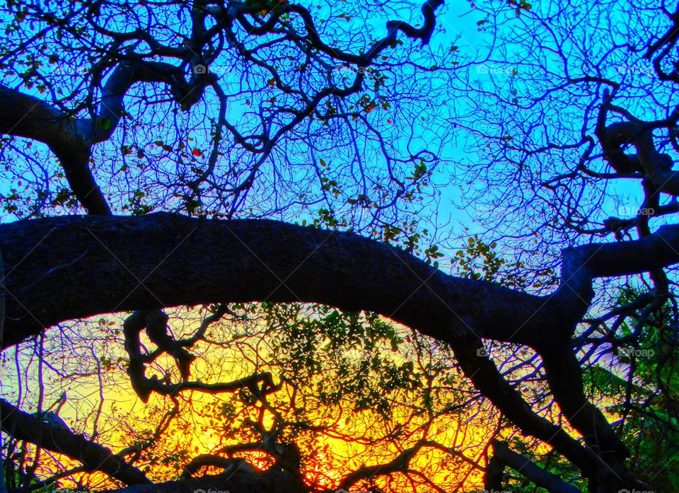 Silhouette in nature . Colored nature with silhouette