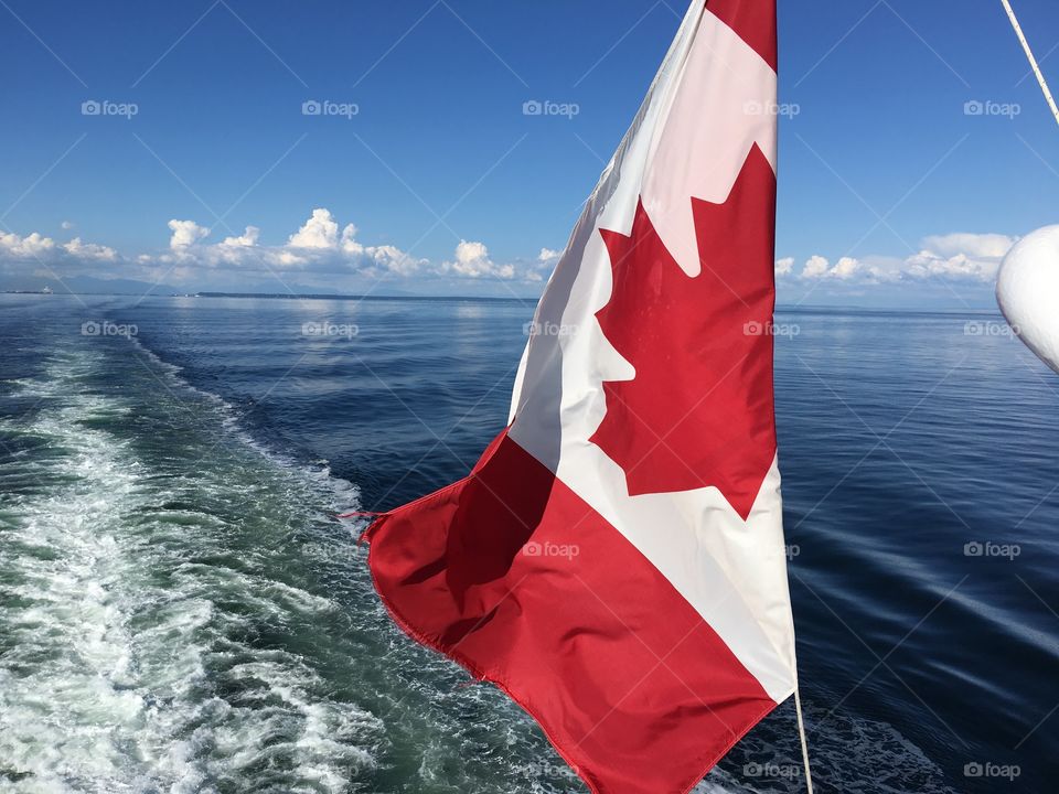 Canadian flag waving against sea