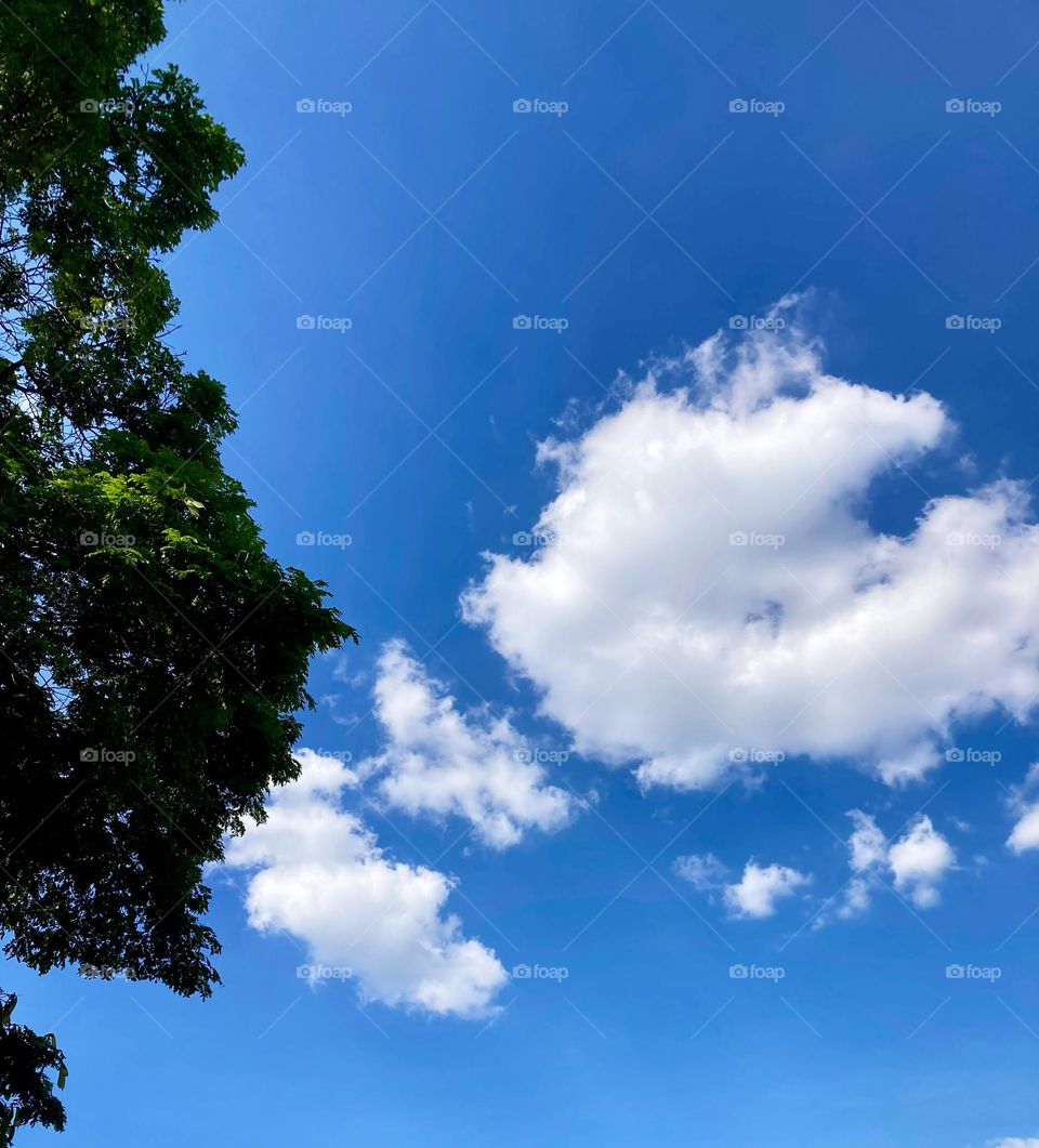 E segue com muito calor e céu azul em Jundiaí…

Será que a Natureza pensa que já estamos no verão?