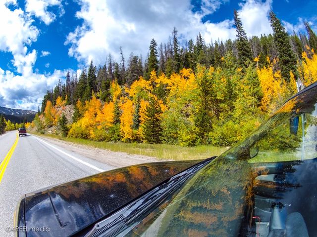 Beautiful Drive