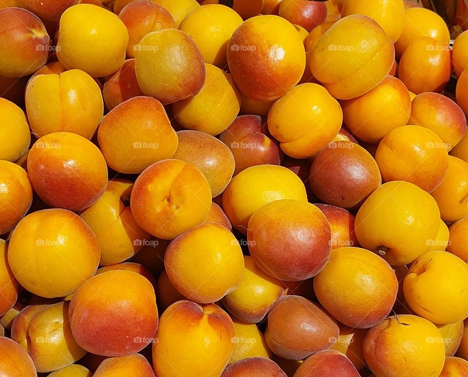 fruits apricots