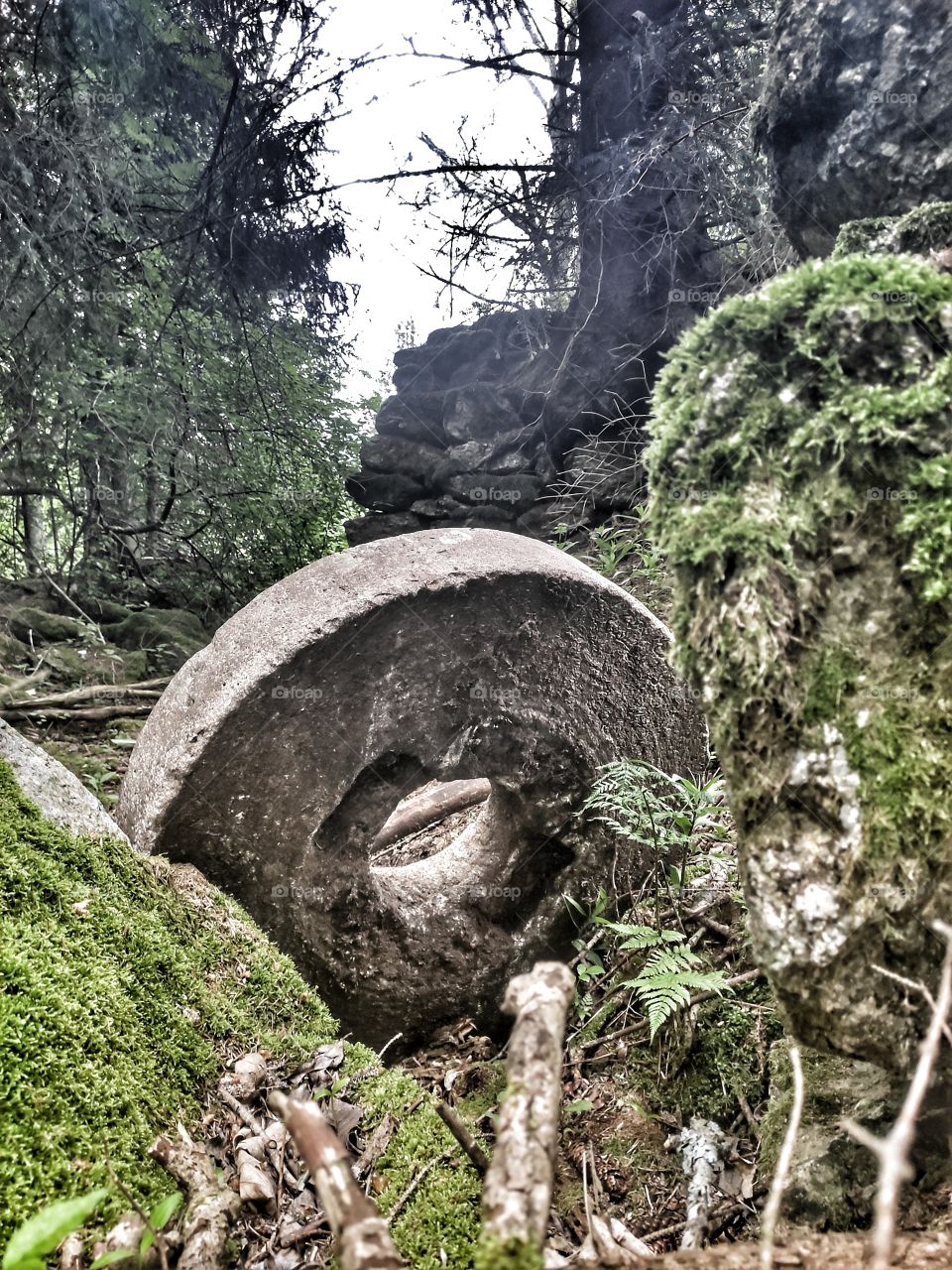 Forgotten old mill stone
