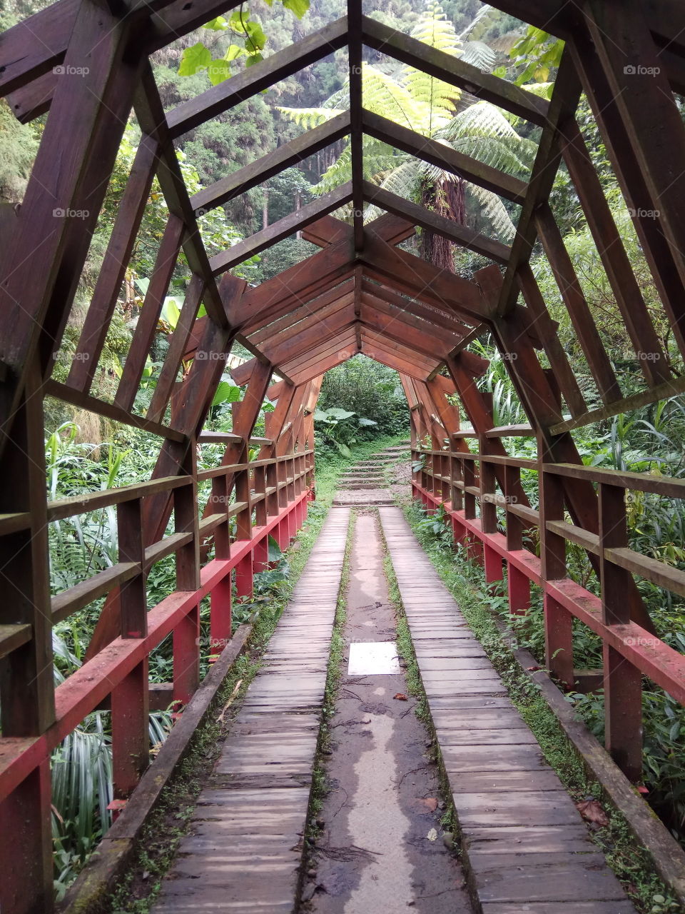 Walking along the canopy.