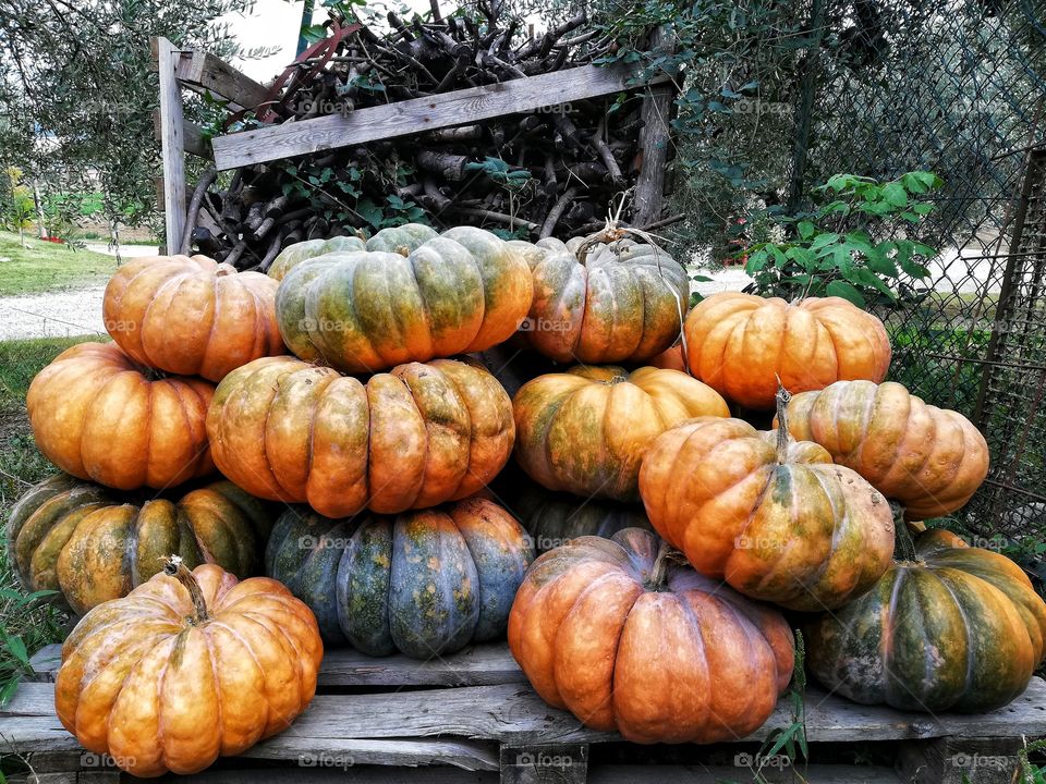 Yellow pumpkins stacked in the countryside