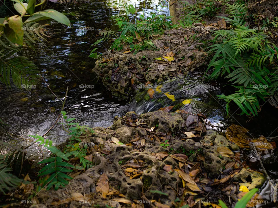 Miami parks 