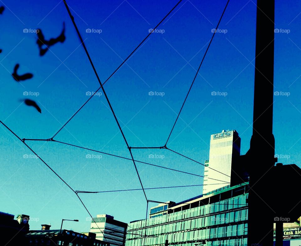 Tram lines above . Blue sky with team wires across and birds. Background image.