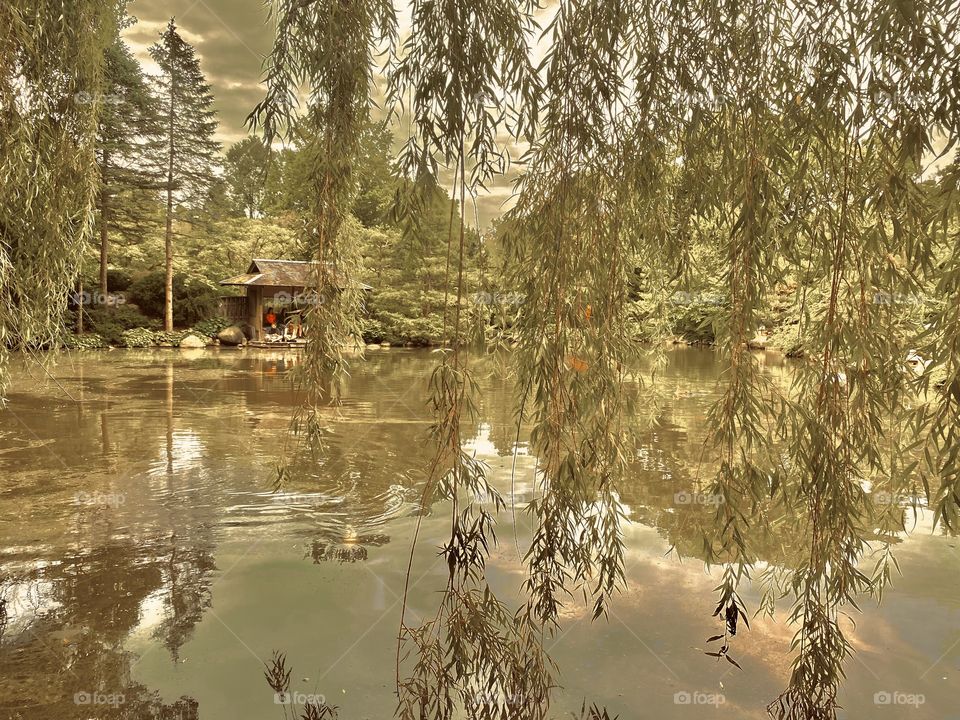 Japanese botanical gardens are my safe haven