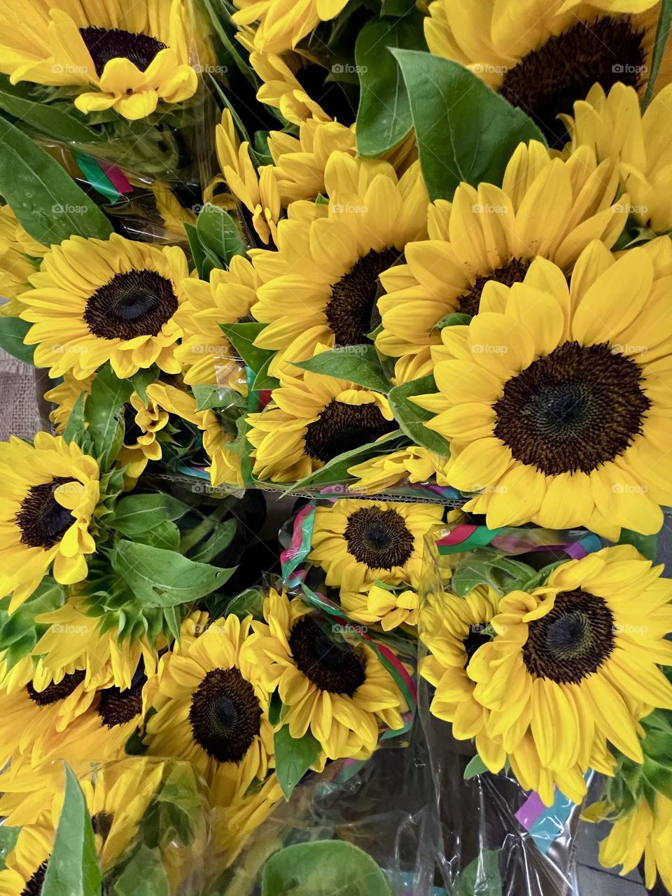 A close-up view of a bouquet of vibrant sunflowers displaying its large bright yellow petals and dark, textured centers amid lush green leaves, transmitting warmth and joy.