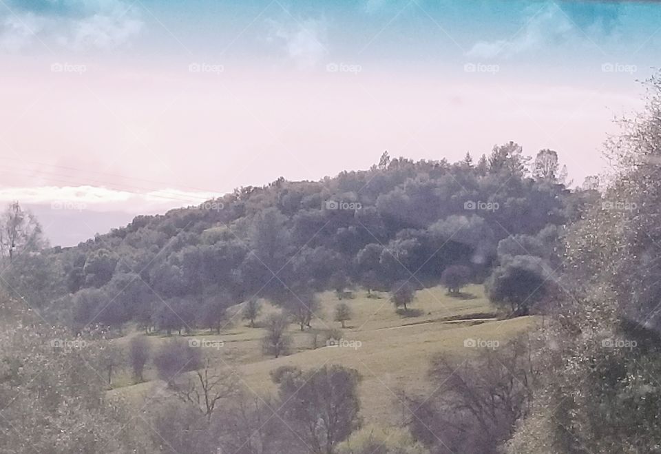 This is a photo of a beautiful landscape near Arnold, California.