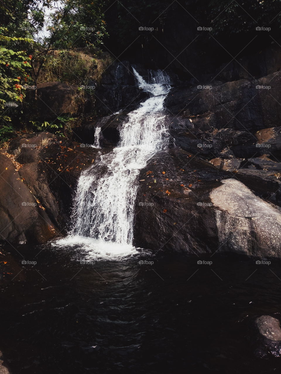 the wild starting of river,  thusharagiri  waterfalls  India