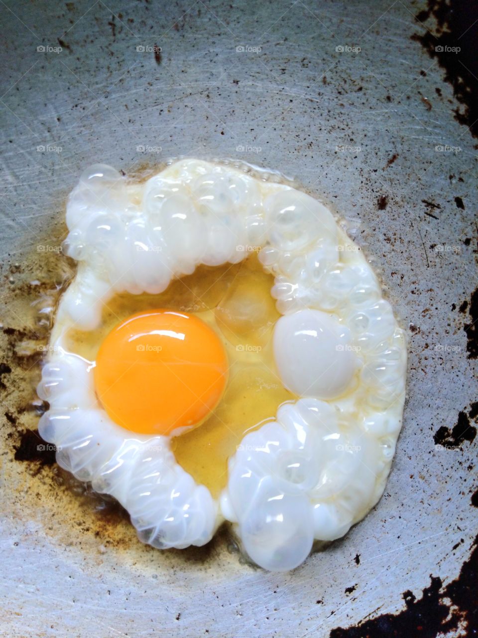 Egg