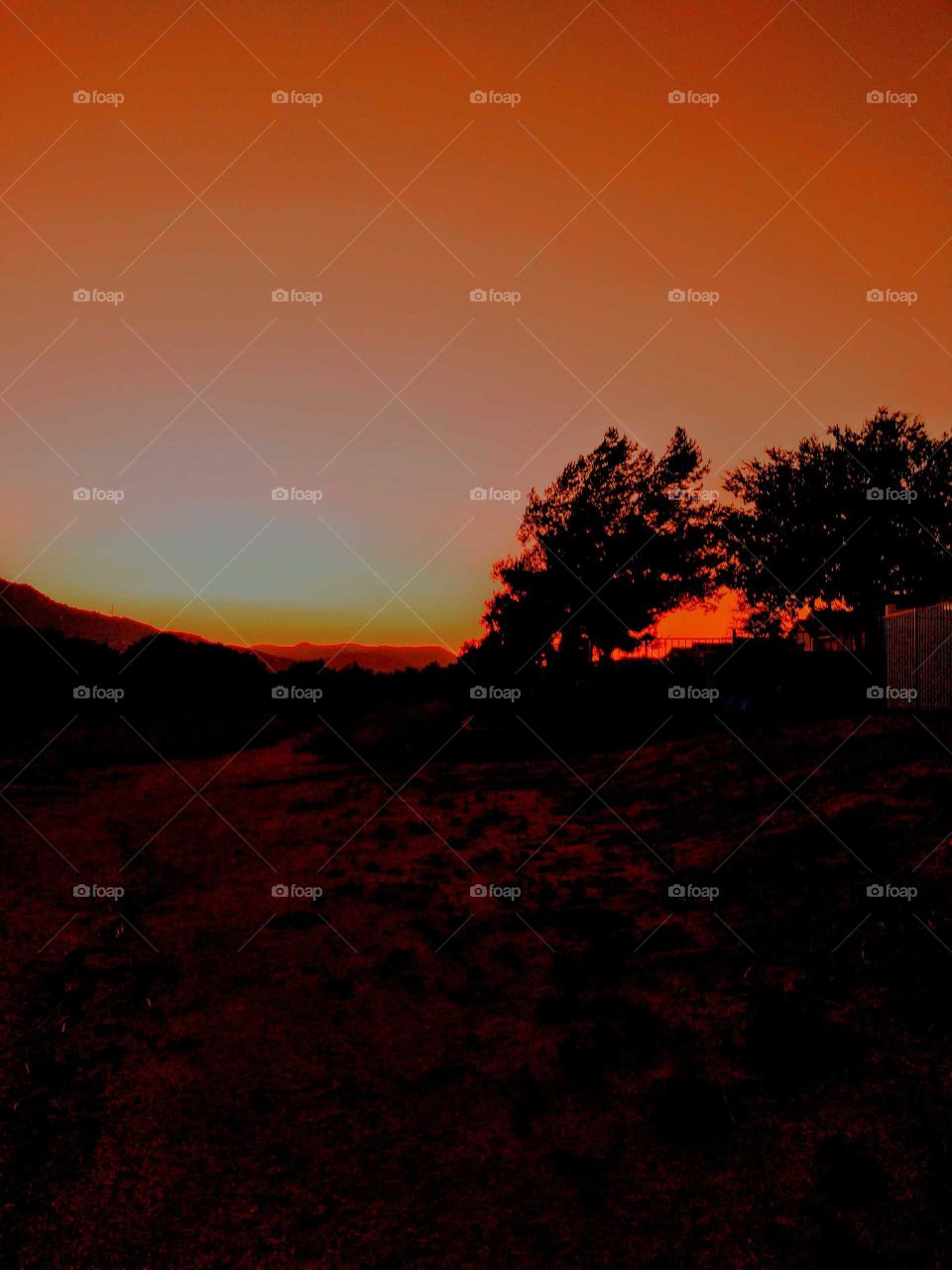 Evening sunset 🌞