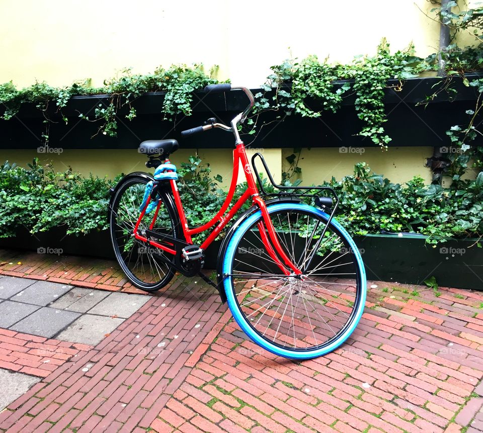Bike of Amsterdam 