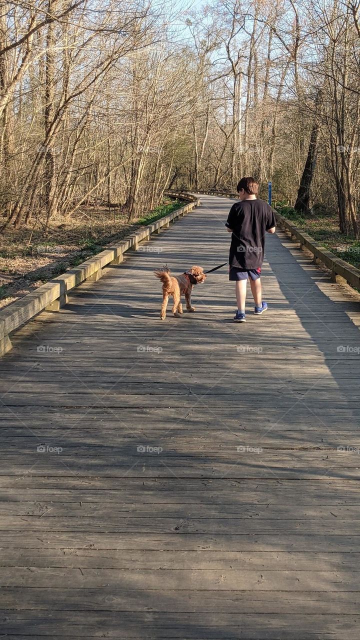 a brisk walk in the park with dog