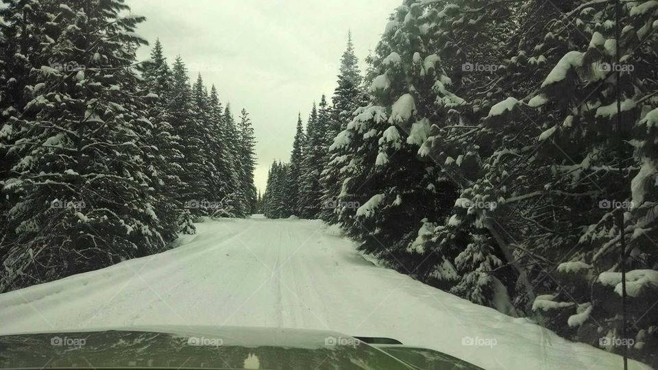 winter drive