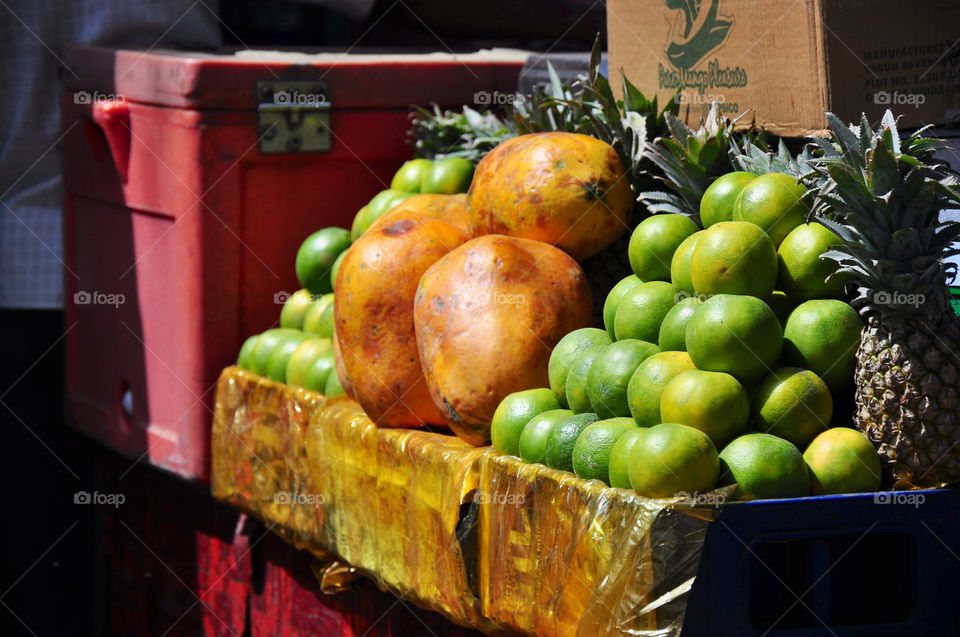 india jaipur by tfmiller