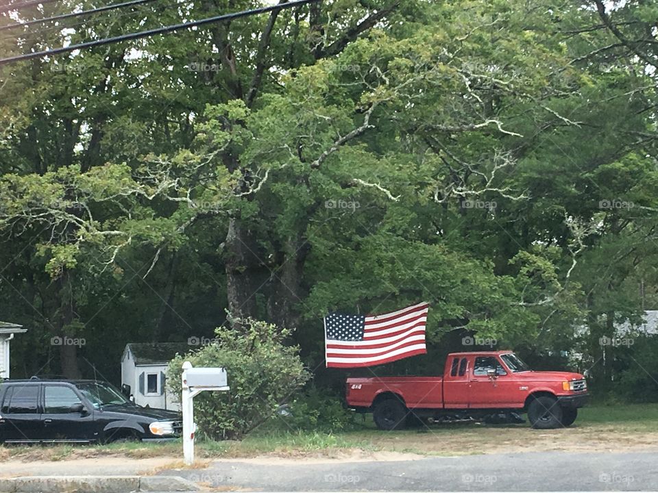 USA Flag🇺🇸, large, hanging in tree I saw in a neighborhood!