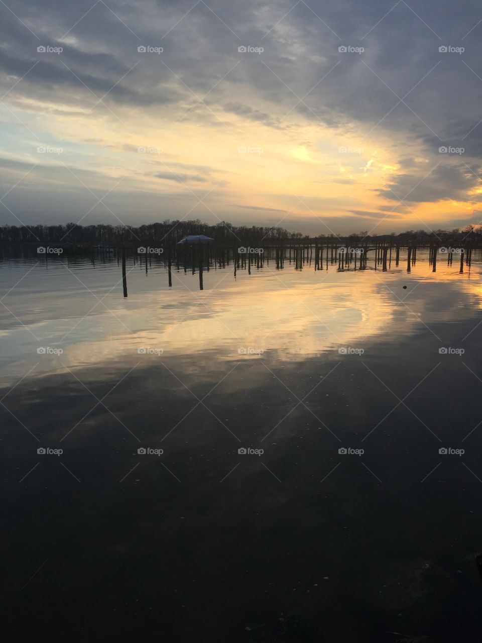 Reflection on the Bay